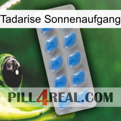 Tadarise Sunrise 22